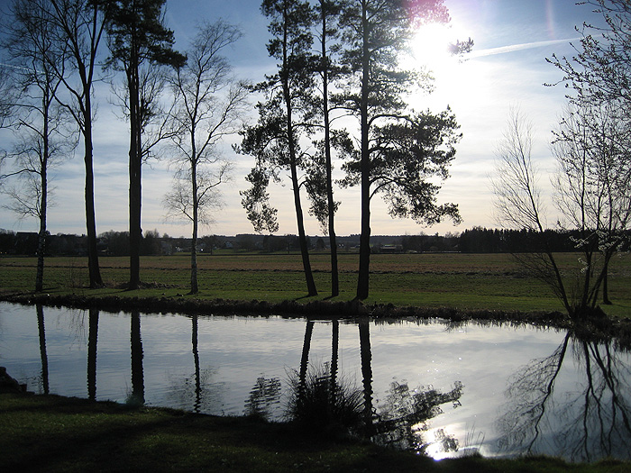 Contre-jour