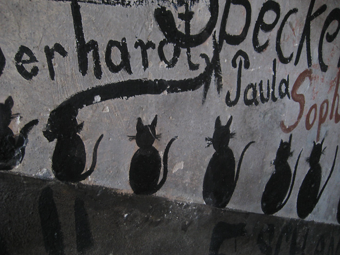 Chats