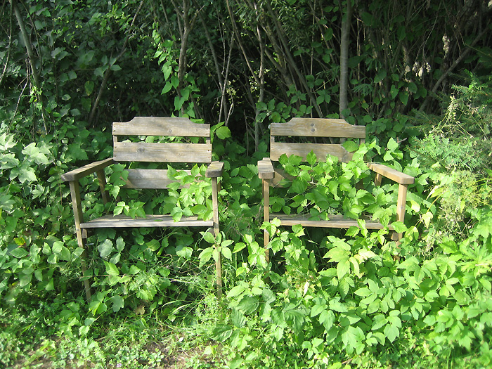 Two chairs